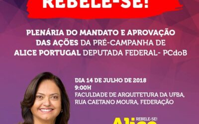Alice Portugal convoca para plenária do mandato