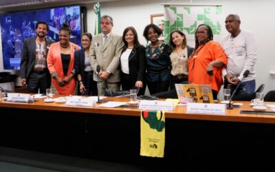 Em audiência sobre igualdade racial, Alice exalta memória do Mestre Moa