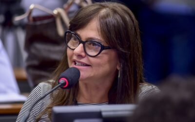 Alice apresenta projeto para sustar decreto de Bolsonaro que flexibiliza porte de armas