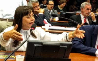 Deputada propõe debate sobre as ameaças à carreira docente e técnico-administrativa na educação básica