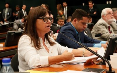 Alice propõe debate sobre os custos da mudança da Previdência para o sistema de capitalização