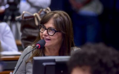 Decreto Legislativo de Alice Portugal susta novos decretos de Bolsonaro sobre armas