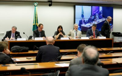 Deputada defende o fortalecimento do IBGE durante audiência na Câmara