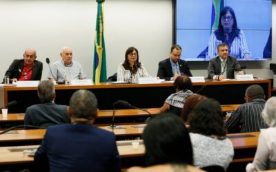 Audiência discute o futuro do serviço público no Brasil