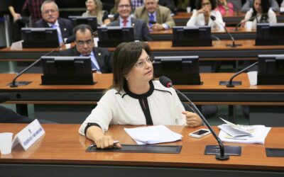 Alice apresenta projeto para barrar o corte de bolsas de pós-graduação