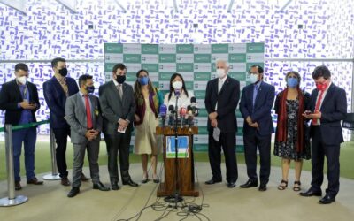 Esforço é para derrotar a PEC 32, diz Alice Portugal