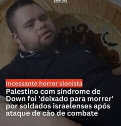 Soldados em Israel usam cachorros para atacar palestinos