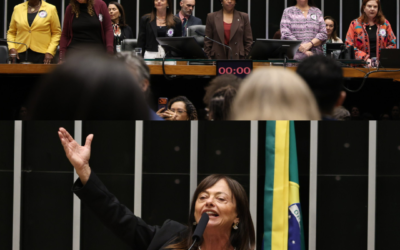 Alice Portugal realiza sessão solene em homenagem aos 20 anos da Lei Maria da Penha